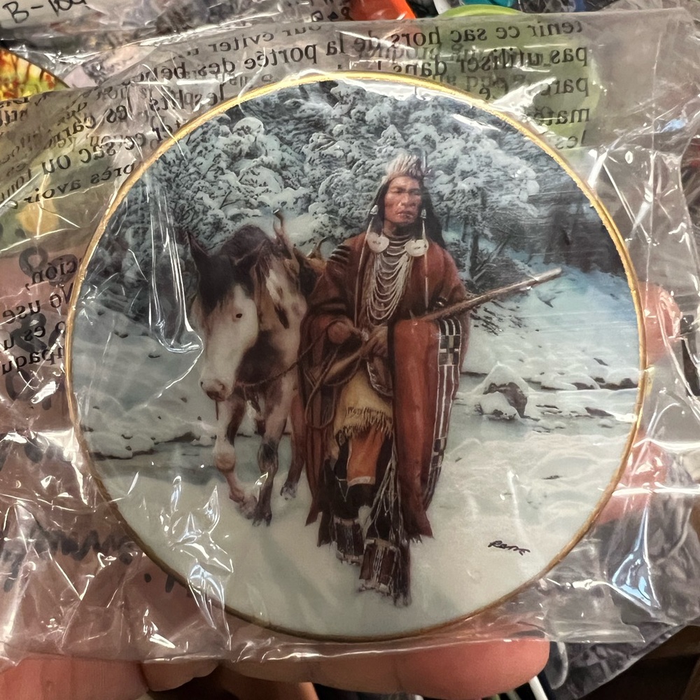 Native American collectors plate